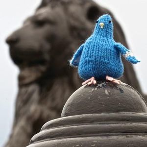 Meet your Posher, Susan